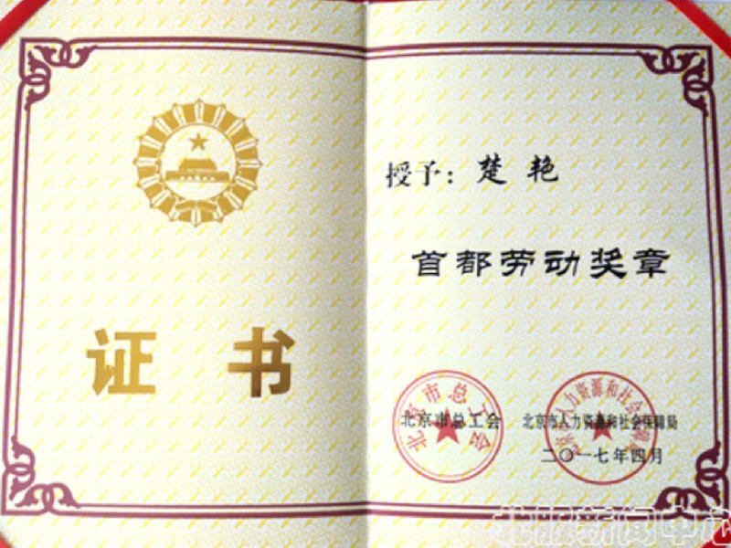 北京市首都劳动奖章（楚艳）