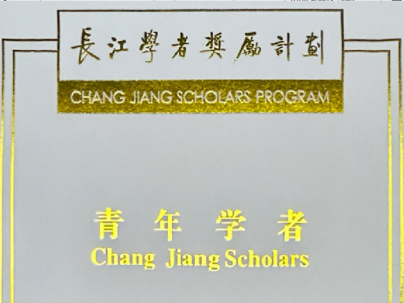 2024年度“长江学者奖励计划”青年学者-宋炀